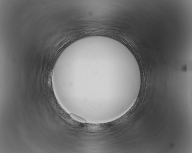 X0000114700325200912021113