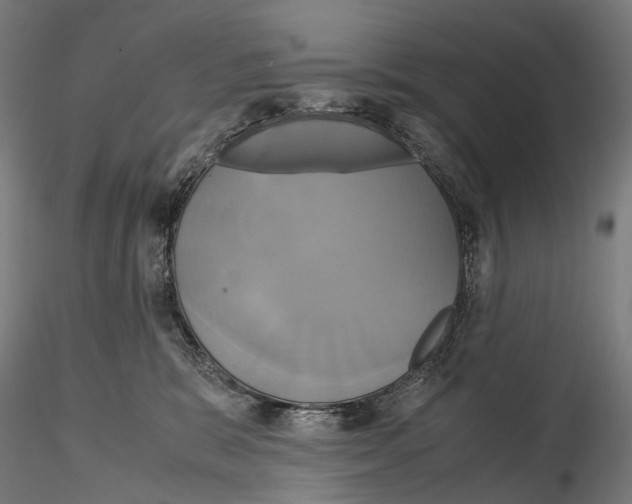 X0000114700327200912021113