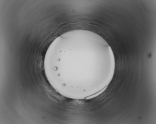 X0000114700328200912021113