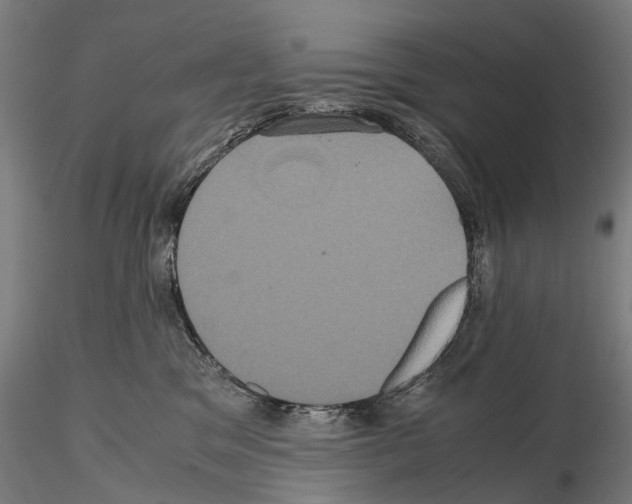 X0000114700329200912021113