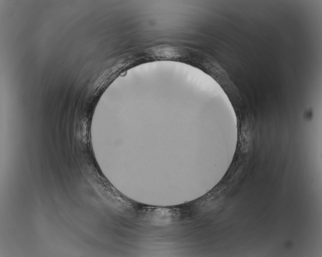 X0000114700330200912021113