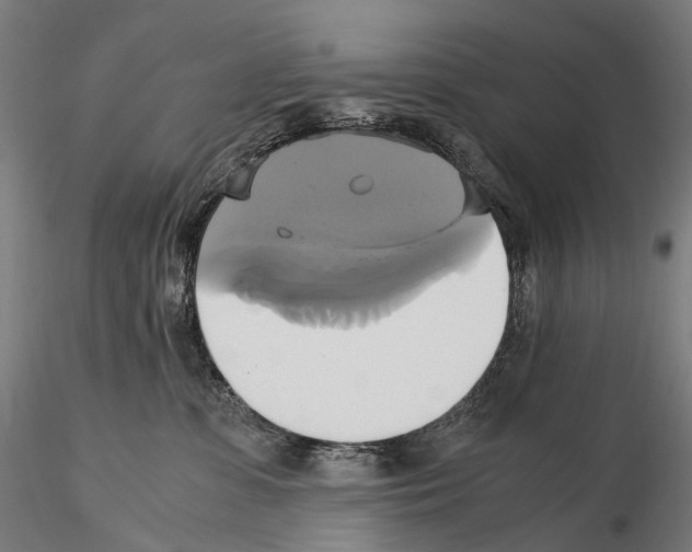 X0000114700331200912021113