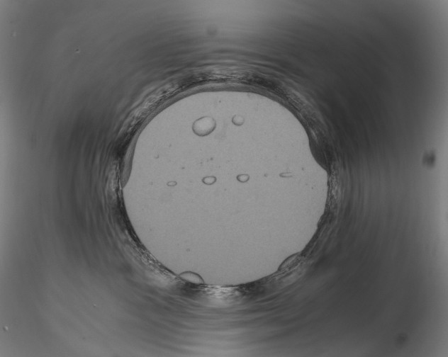 X0000114700333200912021113