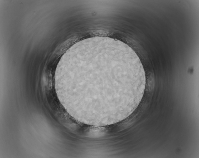 X0000114700334200912021113