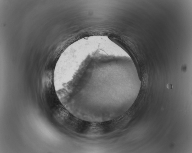 X0000114700335200912021113