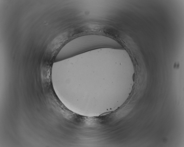 X0000114700336200912021113