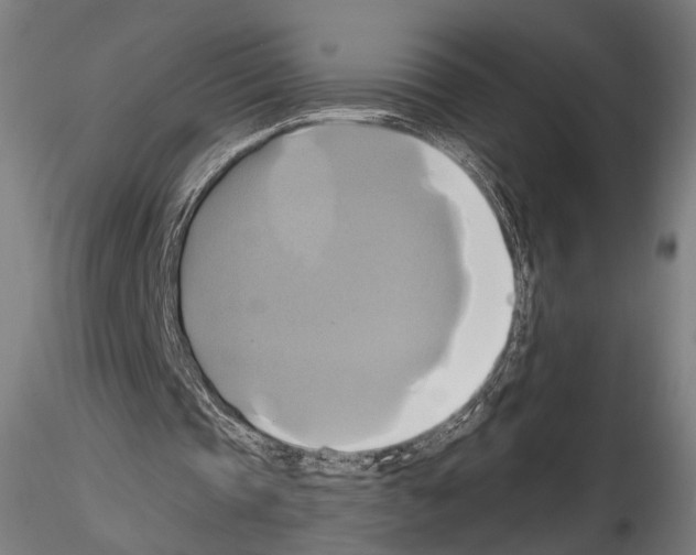 X0000114700337200912021112