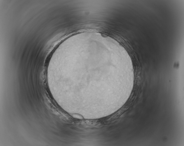 X0000114700338200912021113