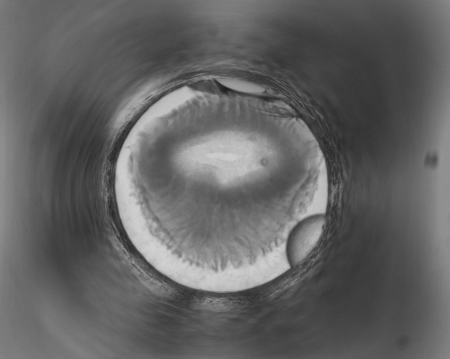 X0000114700341200912021113