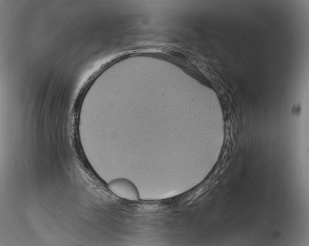 X0000114700342200912021113