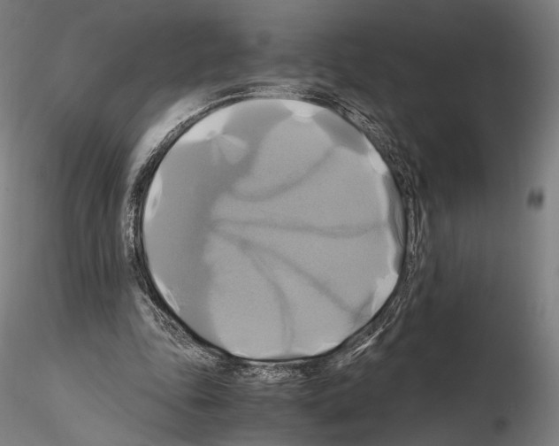 X0000114700343200912021113