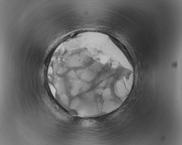 X0000114700346200912021113