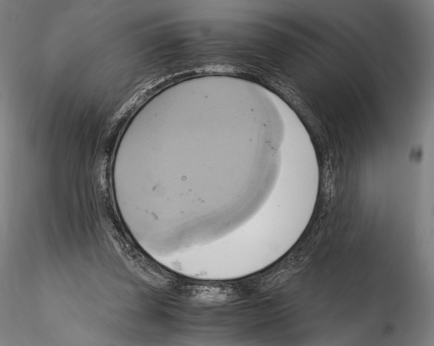 X0000114700347200912021113