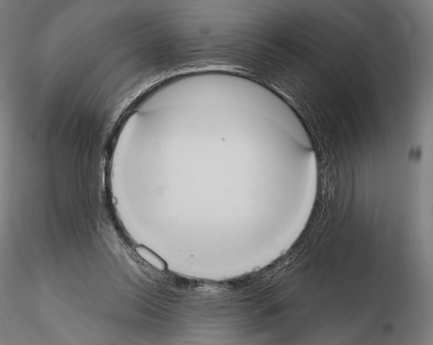 X0000114700350200912021113