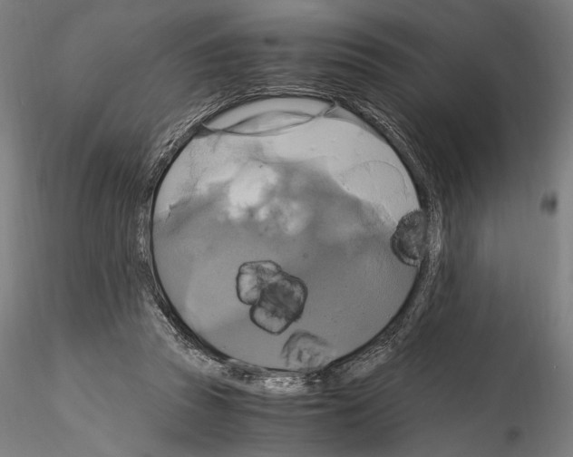 X0000114700353200912021113