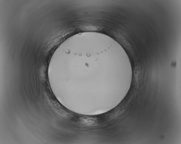 X0000114700359200912021113