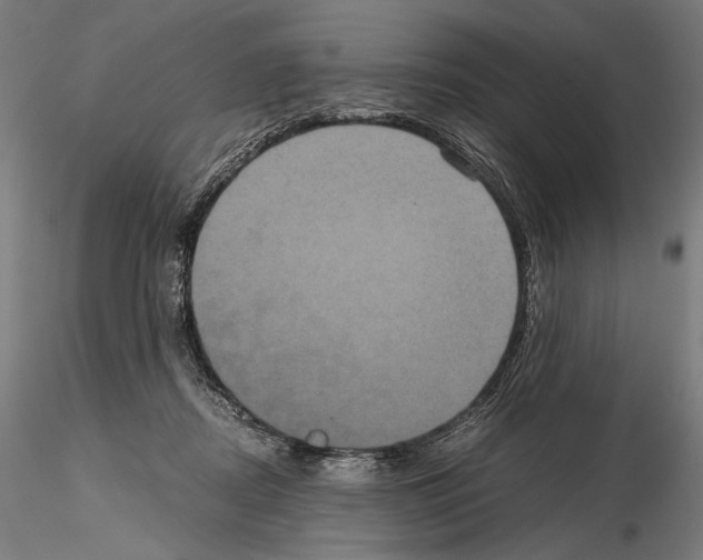 X0000114700362200912021113