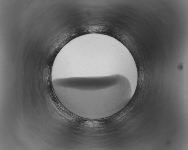 X0000114700367200912021113