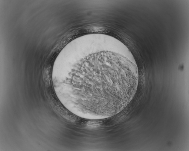 X0000114700373200912021113