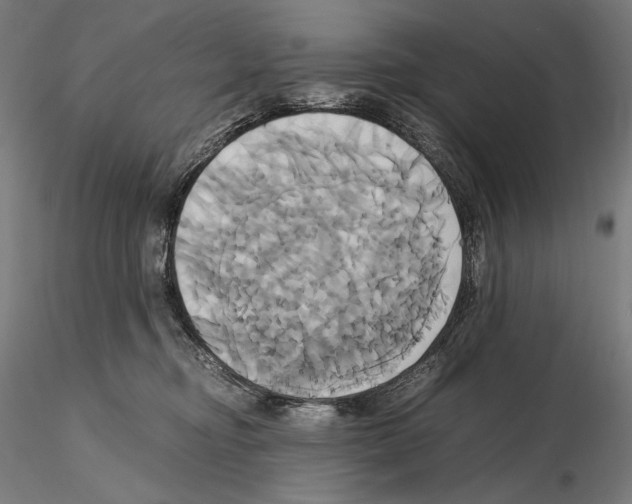 X0000114700374200912021113