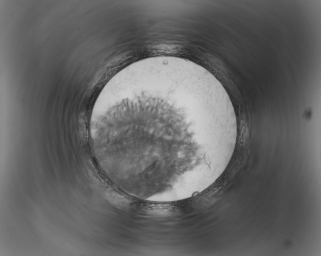 X0000114700377200912021113