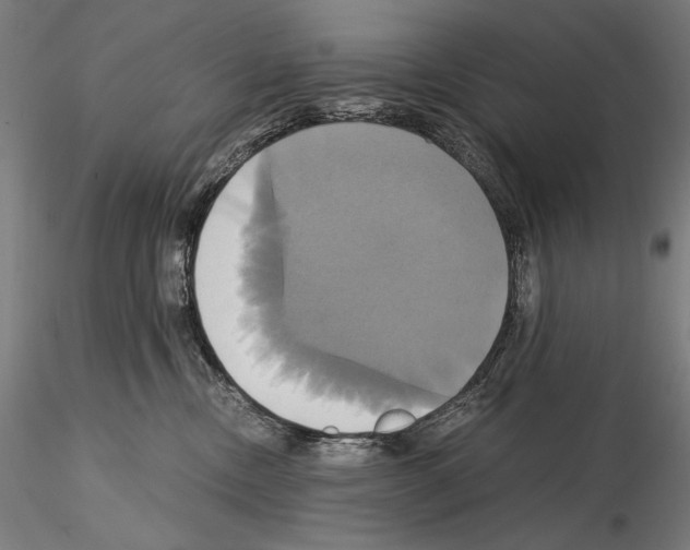 X0000114700378200912021113