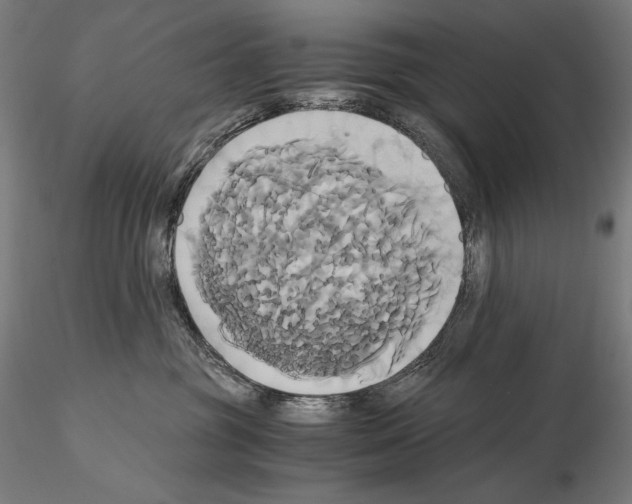 X0000114700381200912021113