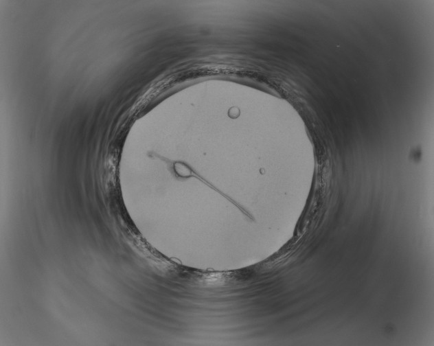 X0000114700382200912021113