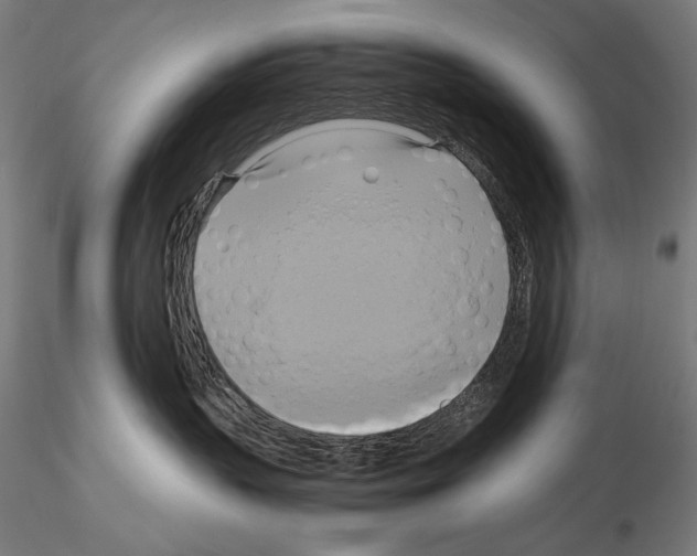 X0000114700383200912021113