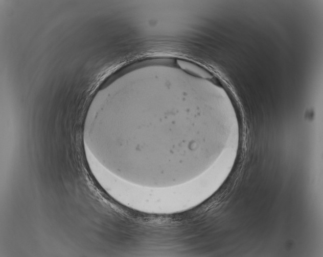 X0000114700385200912021112