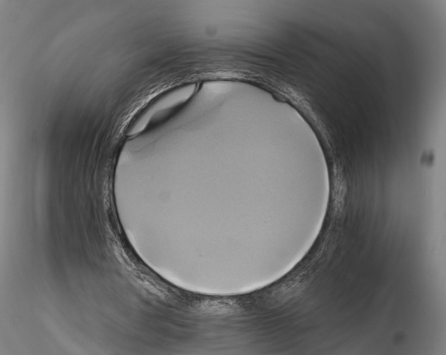 X0000114700386200912021112