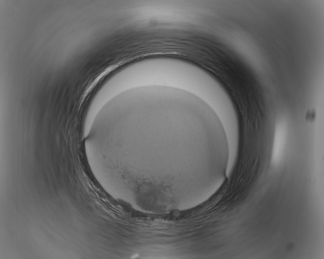 X0000114700387200912021112