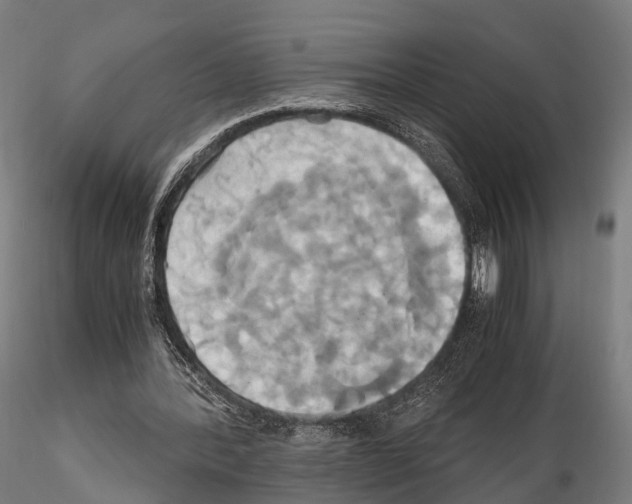 X0000114700388200912021112