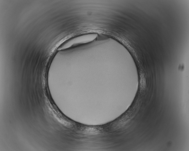 X0000114700390200912021112