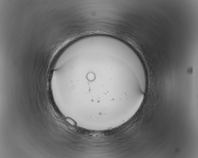 X0000114700395200912021112