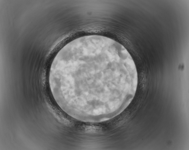 X0000114700400200912021112