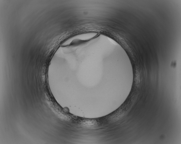 X0000114700402200912021112