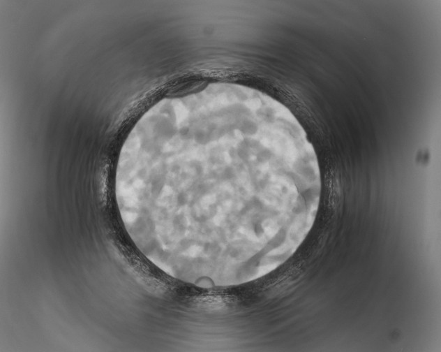 X0000114700404200912021112