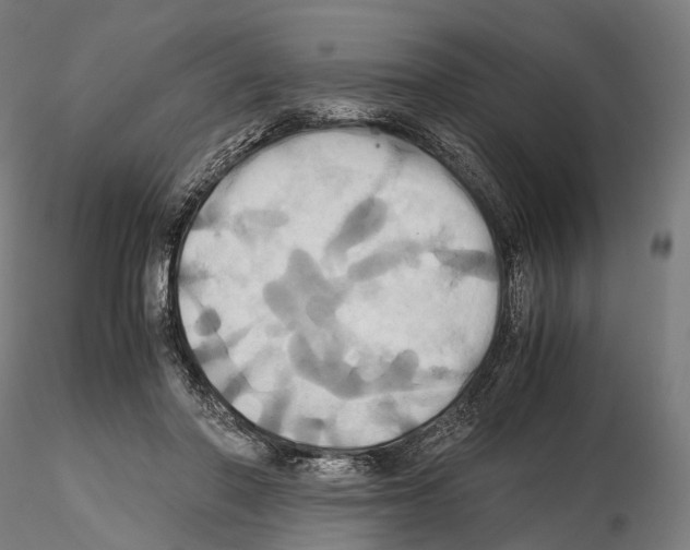 X0000114700406200912021112