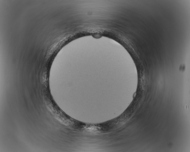 X0000114700407200912021112