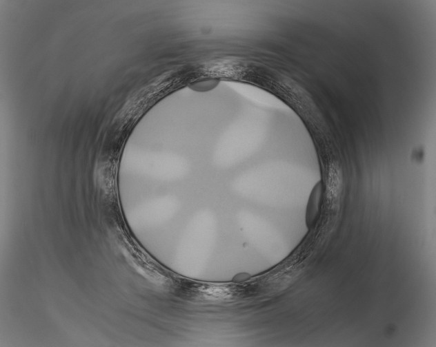 X0000114700409200912021112