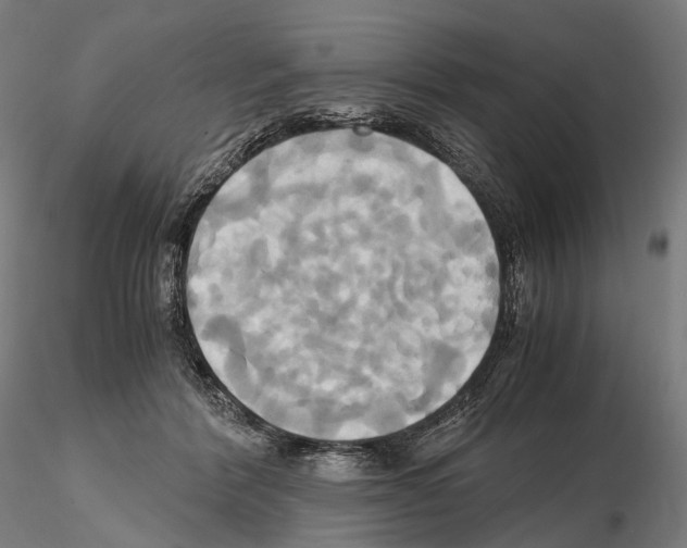 X0000114700412200912021112