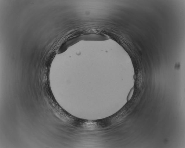 X0000114700413200912021112