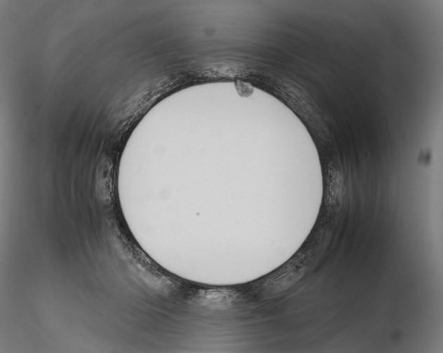 X0000114700414200912021112