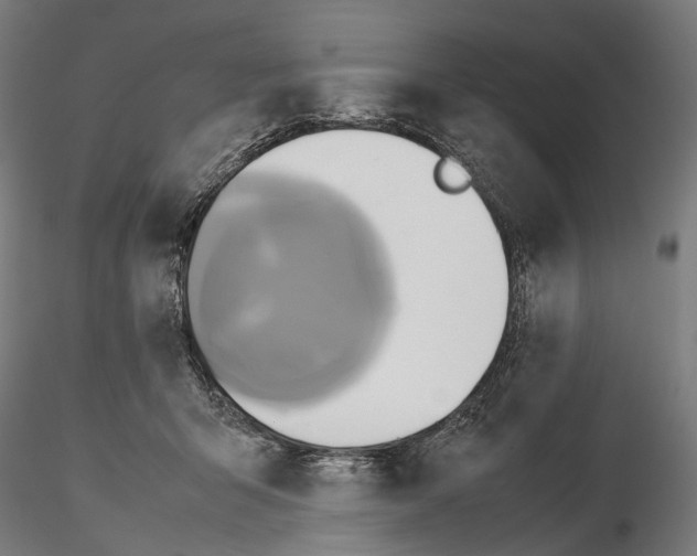 X0000114700415200912021112