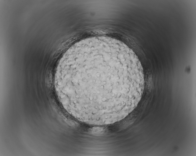 X0000114700418200912021112