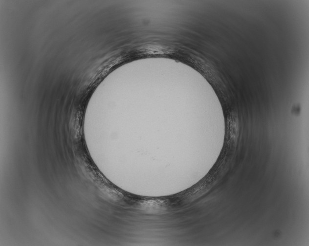 X0000114700422200912021112