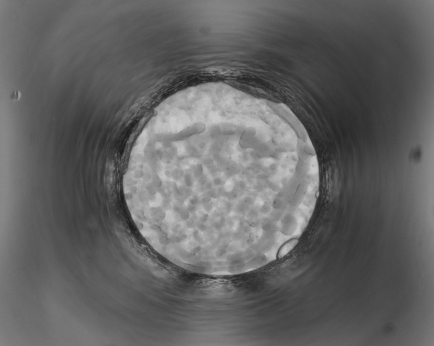 X0000114700424200912021112