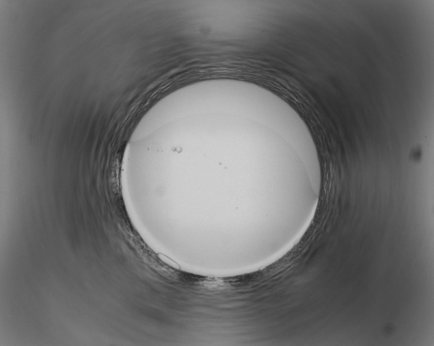 X0000114700425200912021112