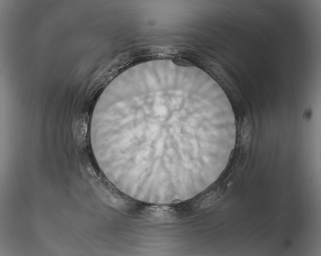 X0000114700427200912021112